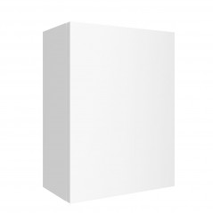 Module ALLIANCE 30 x 40 cm 1 porte blanc brillant réf 96927 Salgar